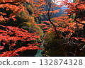 落川河谷、神樂大年溪（奧秩父）的秋葉 132874328