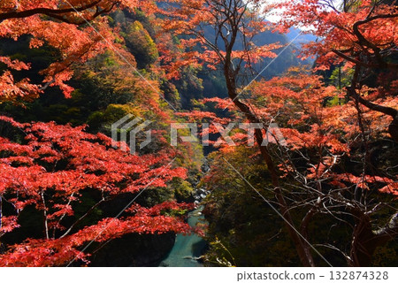 Autumn leaves at Ochigawa River Valley, Kanagura Otoshi Stream (Okuchichibu) 132874328
