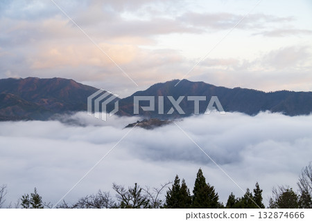 Takeda Castle and sea of clouds in Asago City, Hyogo Prefecture 132874666