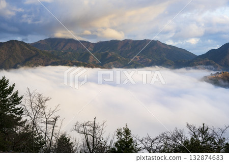 Takeda Castle and sea of clouds in Asago City, Hyogo Prefecture 132874683
