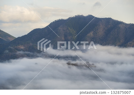 Takeda Castle and sea of clouds in Asago City, Hyogo Prefecture 132875007