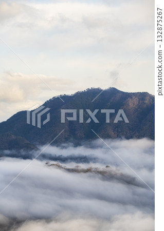 Takeda Castle and sea of clouds in Asago City, Hyogo Prefecture 132875267