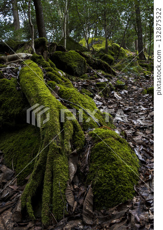 Scenery of Wadayamacho, Asago City Scenery of Wadayamacho, Asago City 132875522
