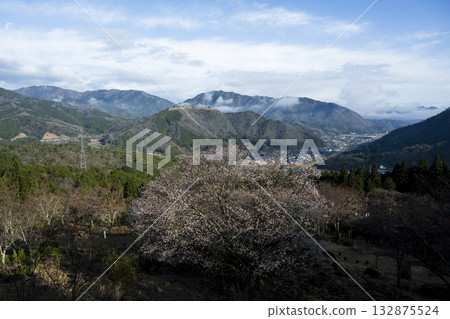 Scenery of Wadayamacho, Asago City 132875524