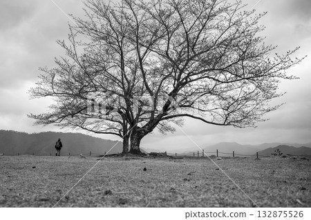 Scenery of Wadayamacho, Asago City 132875526