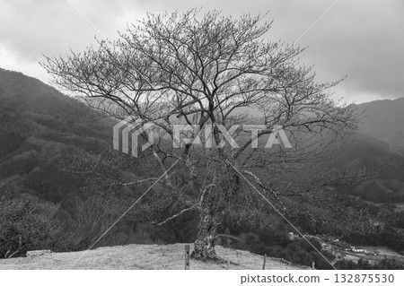 Scenery of Wadayamacho, Asago City Scenery of Wadayamacho, Asago City 132875530