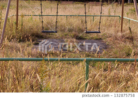 Children's park covered in weeds 132875758
