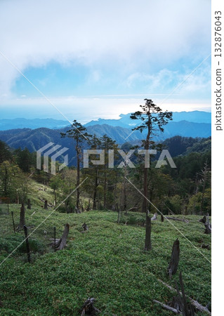 秋天的吉野熊野國立公園,從枯木蔓延的正木嶺附近面向熊野海 秋天的吉野熊野國立公園,從枯木蔓延的正木嶺附近面向熊野海 132876043