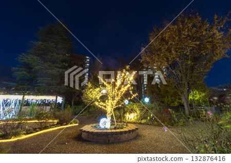光丘公園四季玫瑰園的燈光秀 光丘公園四季玫瑰園的燈光秀 132876416