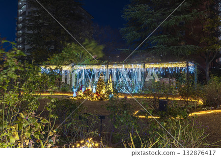 Illumination of the Rose Garden of the Four Seasons at Hikarigaoka Park 132876417