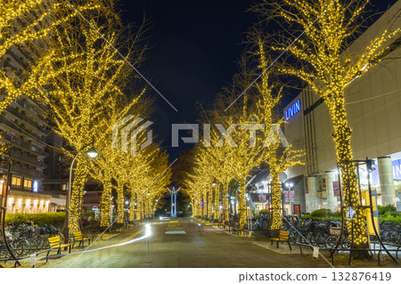 Illumination Interaction Path, Hikarigaoka Park, Tokyo Night View 132876419