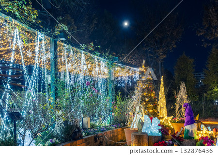 Illumination of the Rose Garden of the Four Seasons at Hikarigaoka Park Illumination of the Rose Garden of the Four Seasons at Hikarigaoka Park 132876436