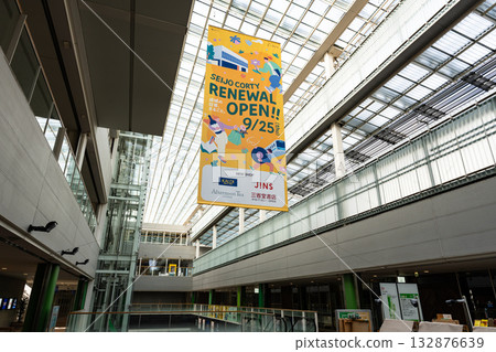 Seijo Corty: Looking up at the ceiling, Seijo, Setagaya Ward, Tokyo 132876639