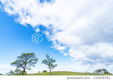Blue sky and clouds and prairie Blue sky and clouds and prairie 132876791