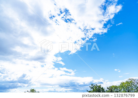 藍天，白雲和樹林 132876799