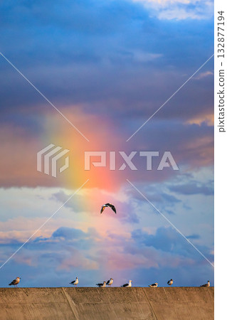 Rainbow-colored sky and seagulls gathering on the breakwater 132877194