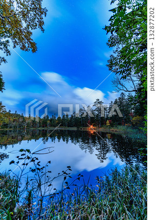 lagoon, swamp, reflex 132877202