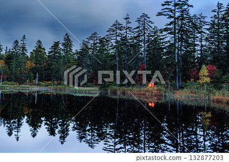 天龍濕地的秋色倒映在水面上，波光粼粼。 132877203