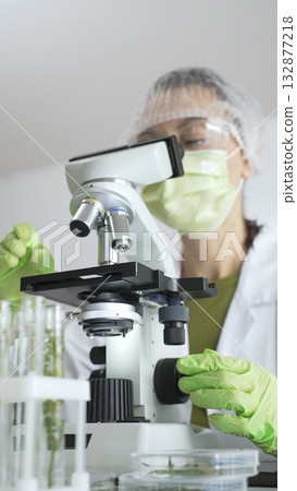 Female scientific precision involving green gloved hands adjusting microscope lens, blurred laboratory glassware highlighting medical investigation. Medicine and science concept Female scientific precision involving green gloved hands adjusting microscope lens, blurred laboratory glassware highlighting medical investigation. Medicine and science concept 132877218