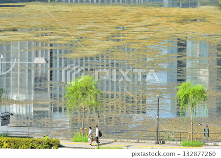 Hibiya Street with buildings reflected in the Hibiya moat near the Hibiya intersection Hibiya Street with buildings reflected in the Hibiya moat near the Hibiya intersection 132877260