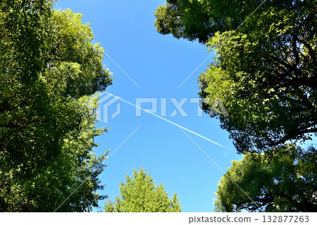 Contrails stretching across the sky above Hibiya Park 132877263
