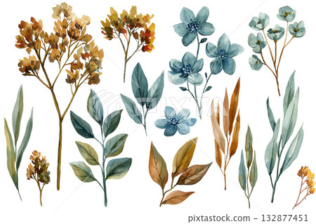 Watercolor Botanical Set with Blue and Brown Leaves and Flowers, Hand Painted Floral Clipart Collection on White Background 132877451