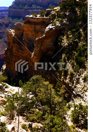 Grand Canyon Arizona Grand Canyon Arizona 132877954