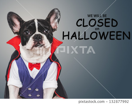 Signboard with the inscription We will be closed on Halloween Signboard with the inscription We will be closed on Halloween 132877992