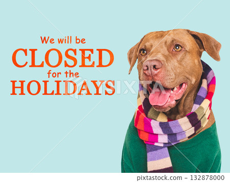 We will be closed for the Holidays. Cute dog 132878000