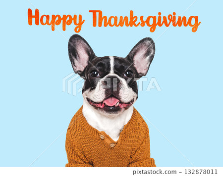 Happy Thanksgiving. Cute puppy and autumn yellow leaves Happy Thanksgiving. Cute puppy and autumn yellow leaves 132878011
