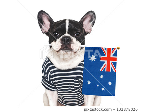 Lovable, charming puppy and Australian Flag Lovable, charming puppy and Australian Flag 132878026