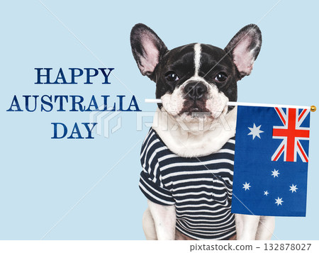 Happy Australia Day. Cute puppy and Australian Flag Happy Australia Day. Cute puppy and Australian Flag 132878027