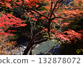 落川谷的秋葉：神樂大下溪（埼玉縣） 132878072