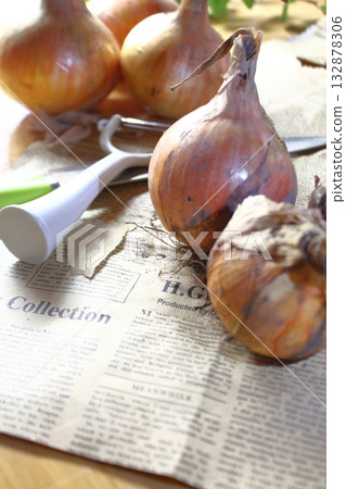 Whole onion 132878306