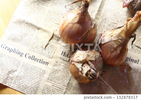 整顆洋蔥 132878317