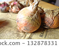 Whole onion 132878331