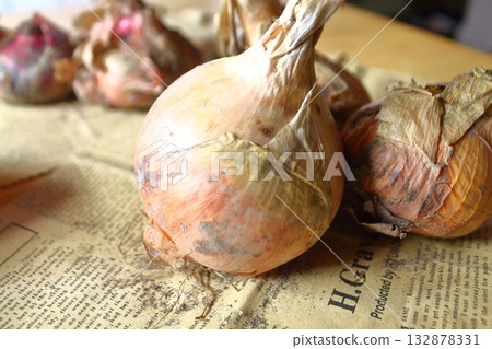Whole onion 132878331