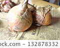 Whole onion 132878332