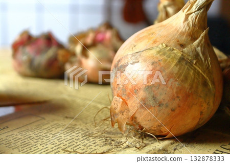 Whole onion Whole onion 132878333