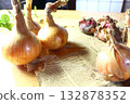 Whole onion 132878352