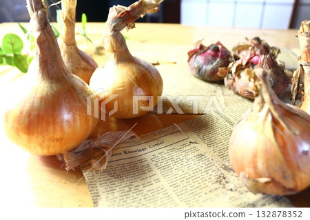 Whole onion Whole onion 132878352