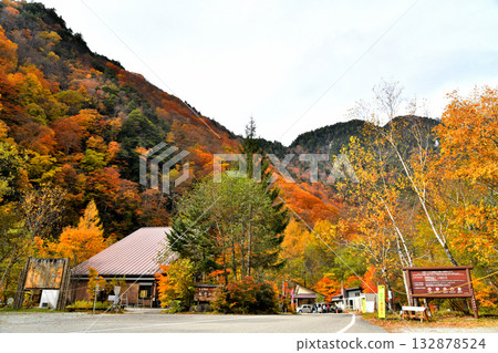 Nanakura Trailhead / Near Nanakura Mountain Lodge (Omachi City, Nagano Prefecture) [November 2025] 132878524