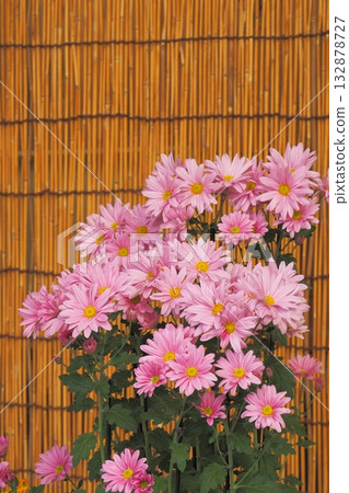 秋天景色,老屋屋簷下盛開的菊花 秋天景色,老屋屋簷下盛開的菊花 132878727