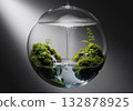 Suspended Transparent Sphere Ecosystem 132878925