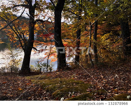 Lake Matsubara forest bathed in autumn colors Lake Matsubara forest bathed in autumn colors 132878966