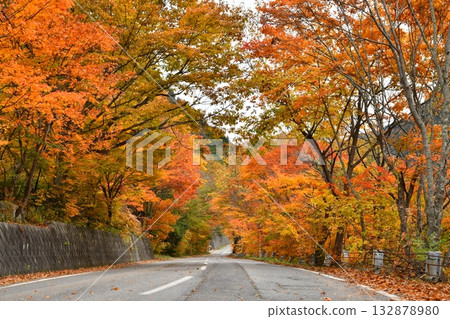 Roads around Takase Valley (Omachi City, Nagano Prefecture) [November 2025] 132878980
