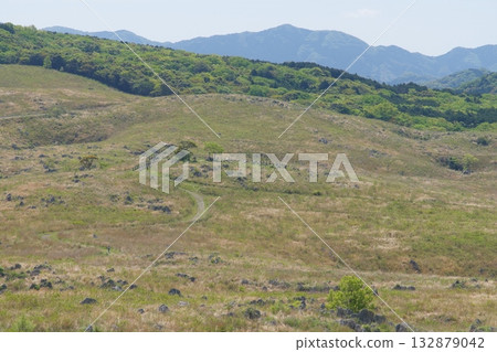 Akiyoshidai with dead grass in the spring of 2025 Akiyoshidai with dead grass in the spring of 2025 132879042