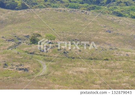 Spring 2025: A view of Akiyoshidai and Wakatakeyama, with dead grass still remaining Spring 2025: A view of Akiyoshidai and Wakatakeyama, with dead grass still remaining 132879043