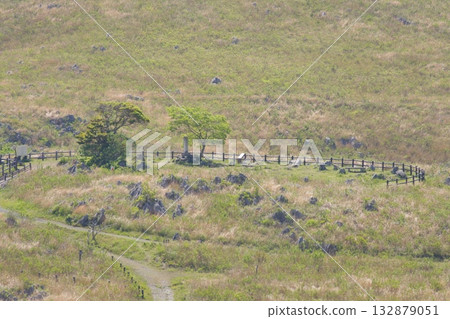 Spring 2025: A view of Akiyoshidai and Wakatakeyama, with dead grass still remaining 132879051