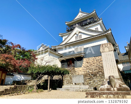 仰望秋天晴朗的藍天映襯下的岡崎城天守閣（岡崎城公園/愛知縣岡崎市） 132879192